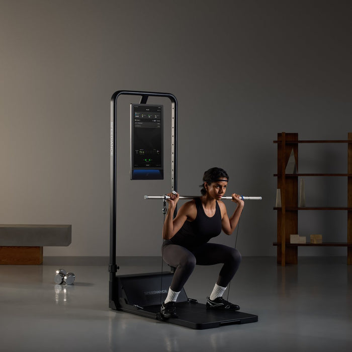 Barbell squat on Gym&nbsp;Monster&nbsp;3